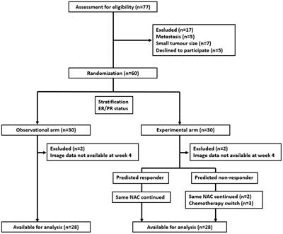 Quantitative ultrasound radiomics guided adaptive neoadjuvant chemotherapy in breast cancer: early results from a randomized feasibility study